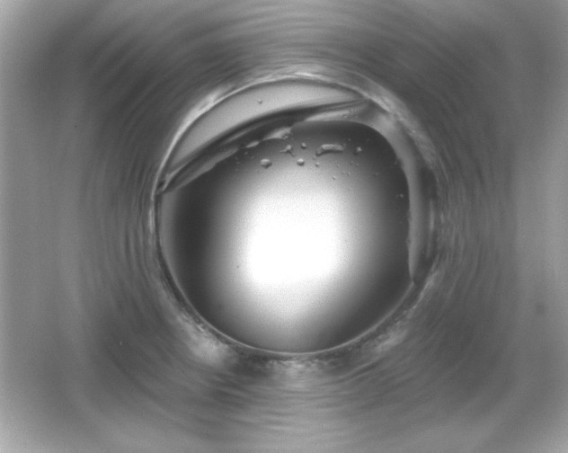 X0000066491234200603201248