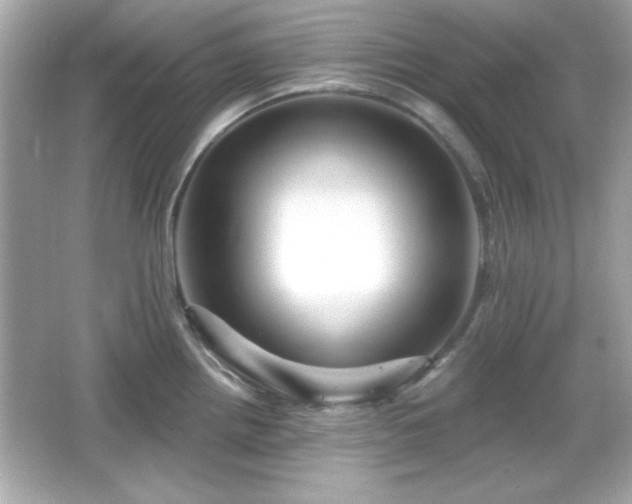 X0000066491242200603201249
