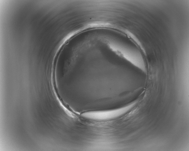 X0000066491245200603201249