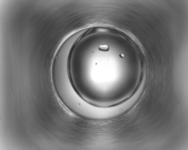 X0000066491246200603201249