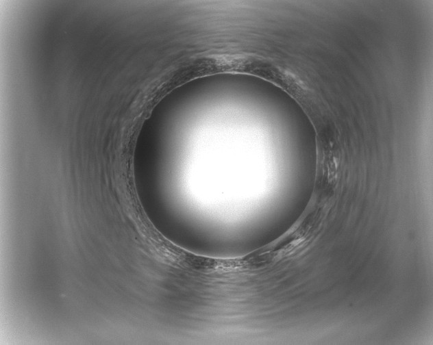 X0000066491249200603201248