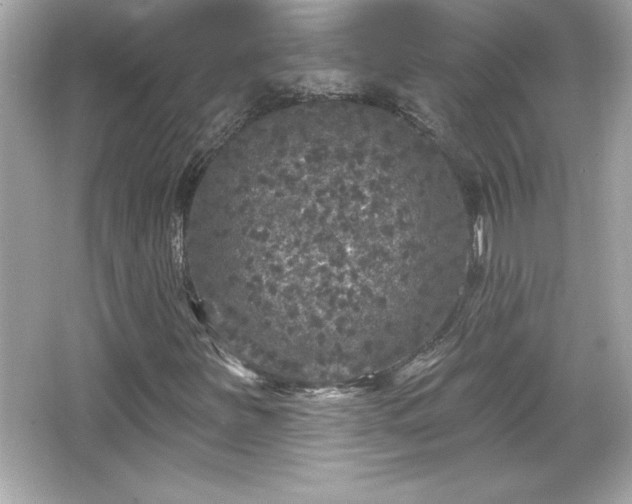 X0000066491251200603201248