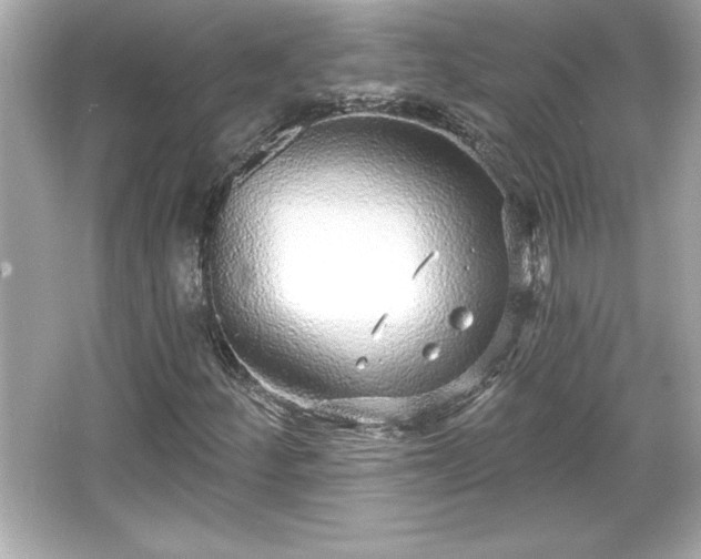 X0000066491252200603201248