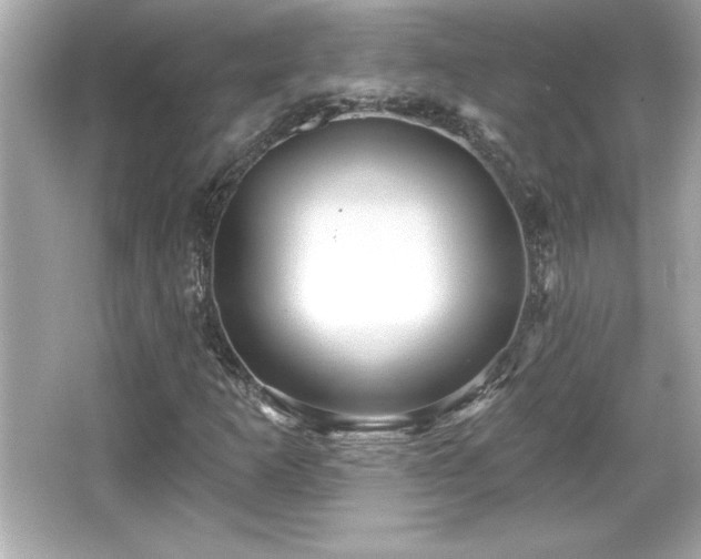 X0000066491253200603201248