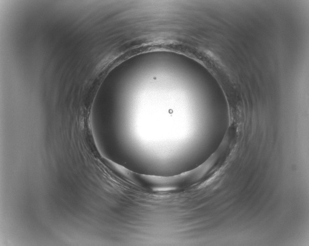 X0000066491257200603201248