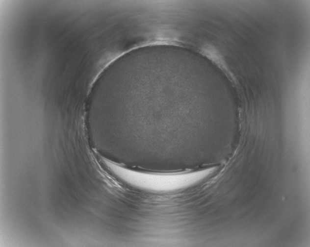 X0000066491260200603201248