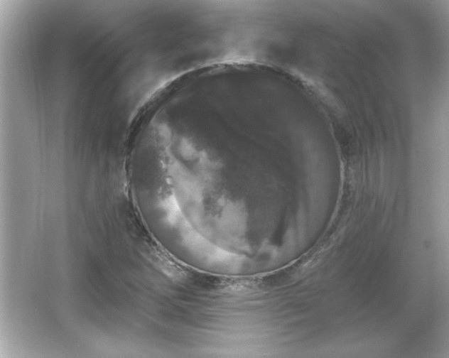X0000066491262200603201248