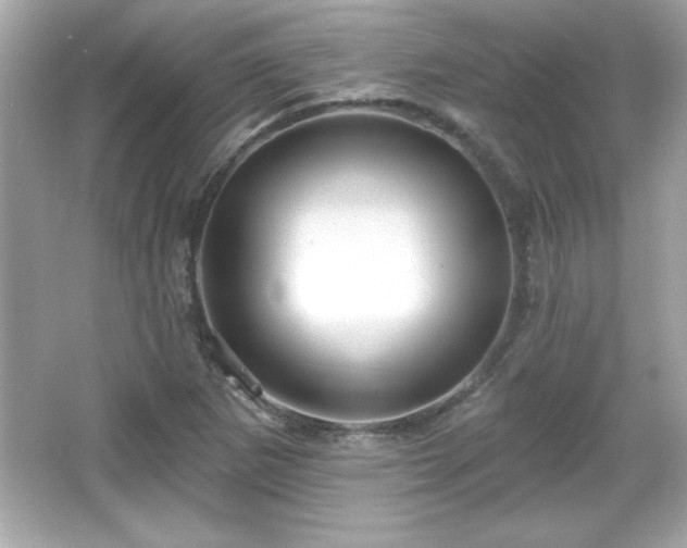 X0000066491265200603201248