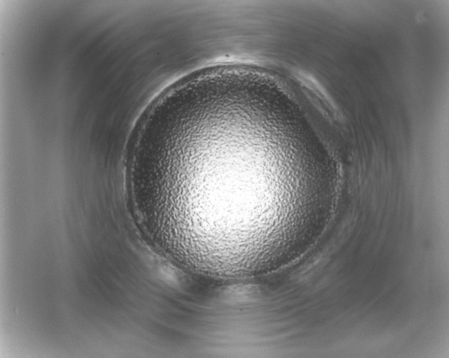X0000066491268200603201248