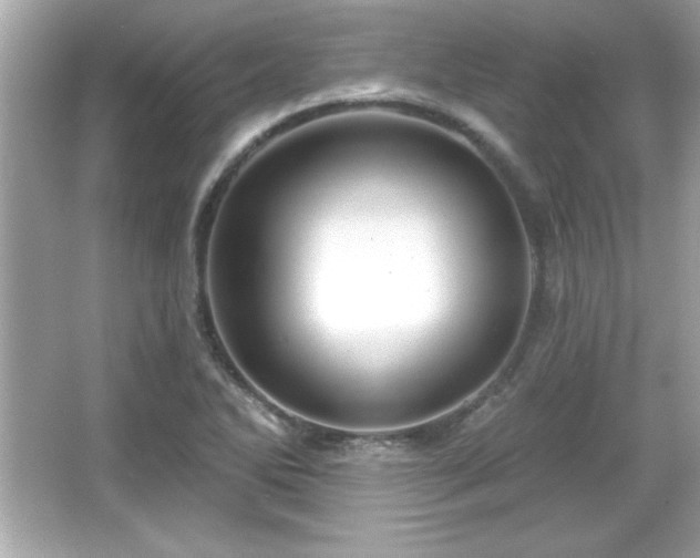 X0000066491270200603201247