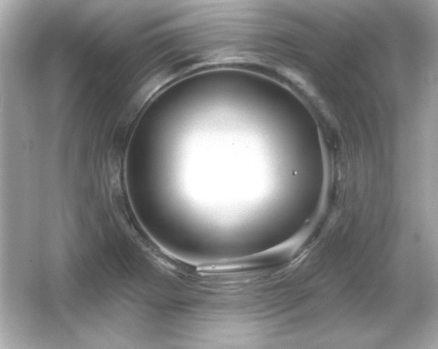 X0000066491273200603201247