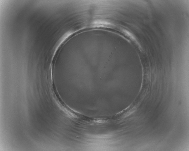 X0000066491275200603201247