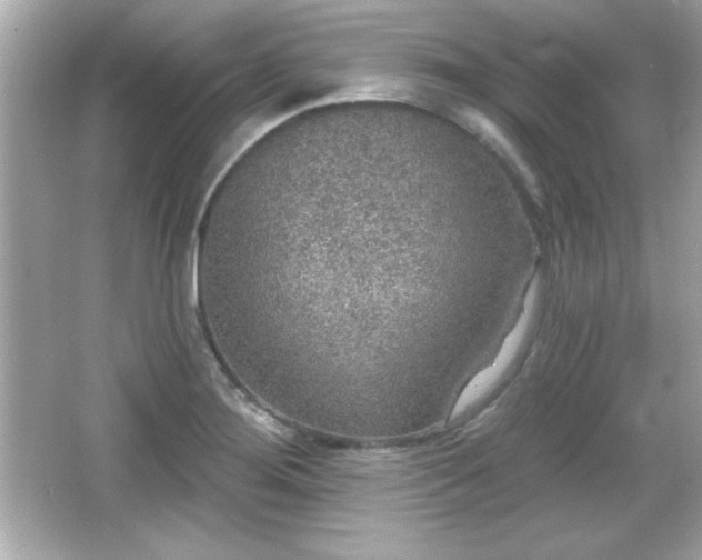 X0000066491276200603201247