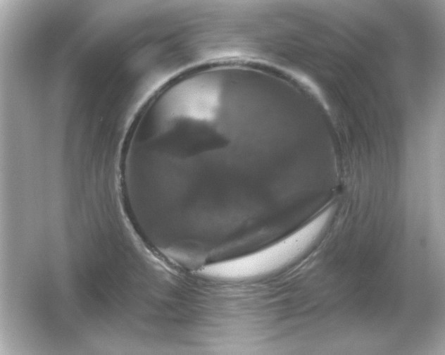 X0000066491279200603201247