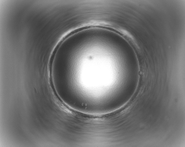 X0000066491280200603201247
