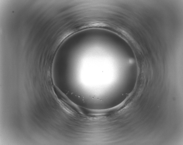X0000066491281200603201247