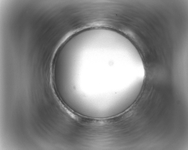 X0000066491286200603201247