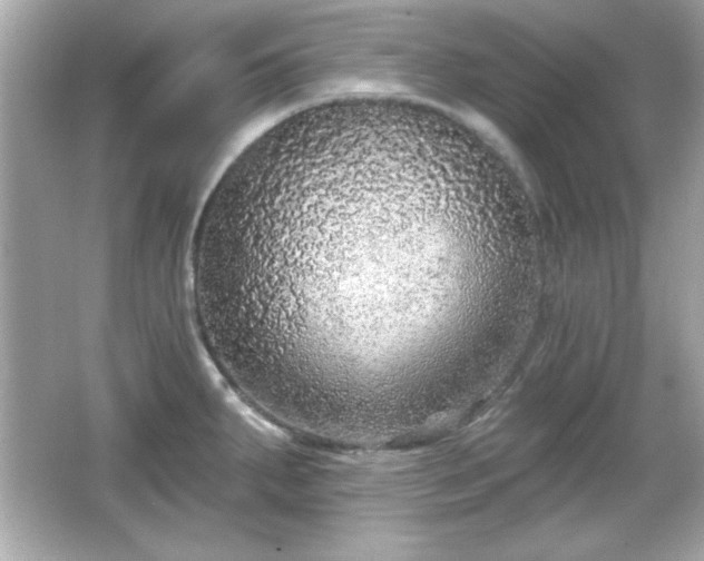 X0000066491287200603201247