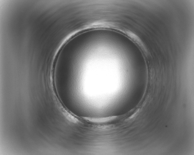 X0000066491288200603201247