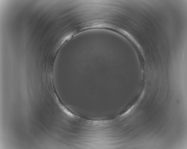 X0000066491289200603201247