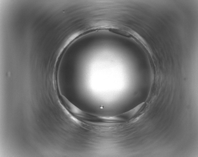 X0000066491293200603201247