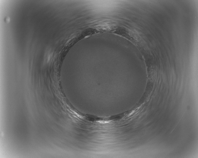 X0000066491297200603201246