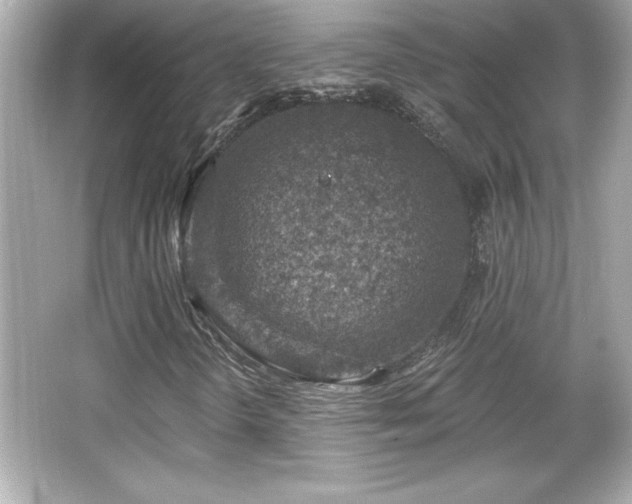 X0000066491298200603201246