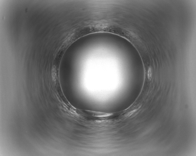 X0000066491299200603201246
