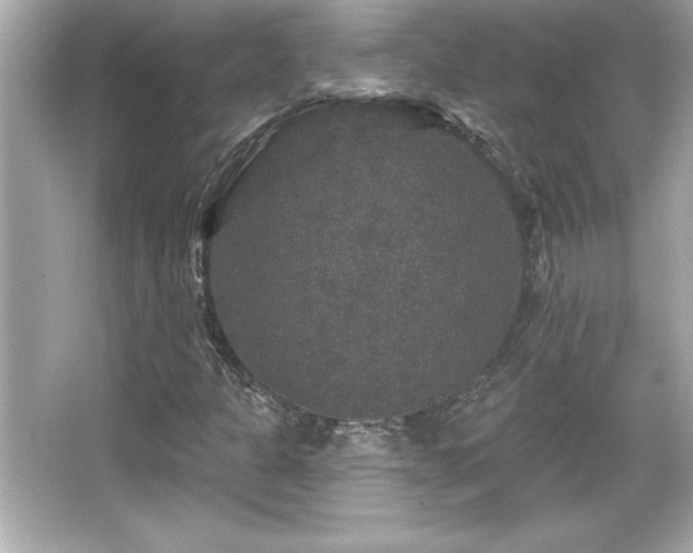 X0000066491301200603201246