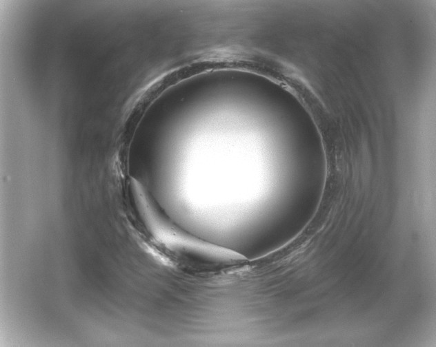X0000066491304200603201246