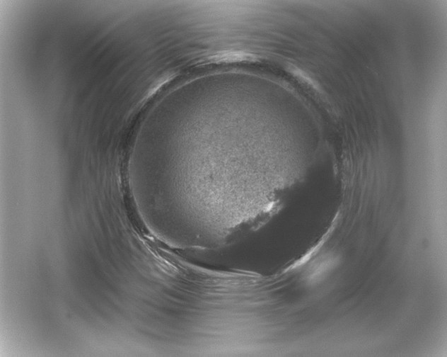 X0000066491305200603201246