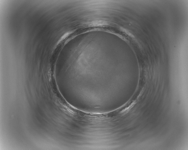 X0000066491306200603201246
