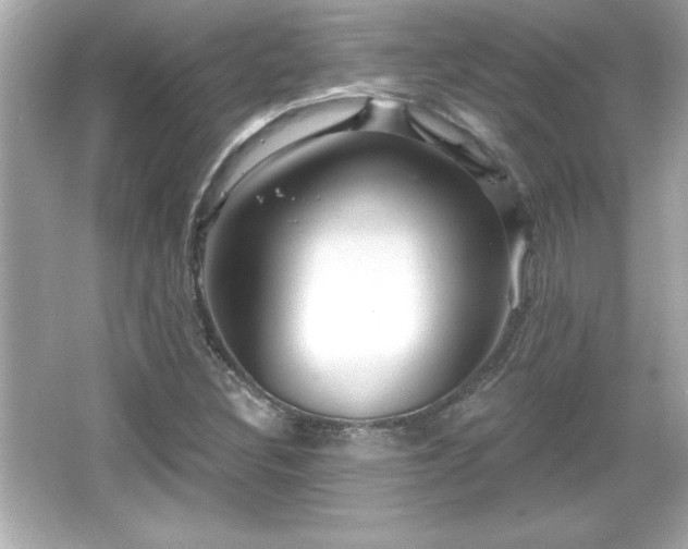 X0000066491308200603201246
