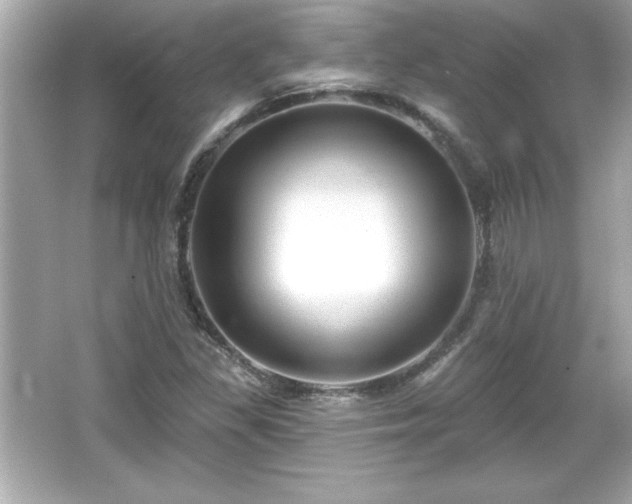 X0000066491309200603201246