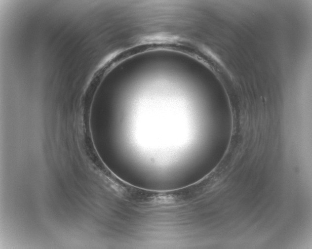 X0000066491315200603201247