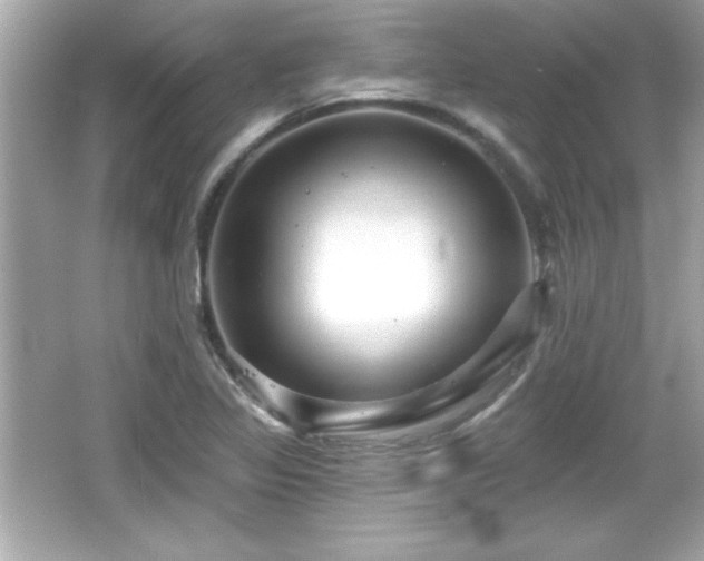 X0000066491317200603201247