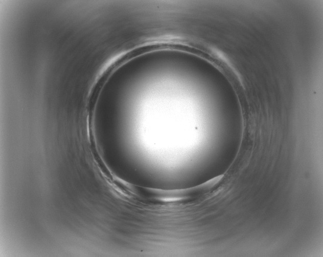 X0000066491320200603201247