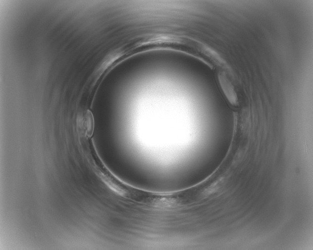 X0000066491321200603201247