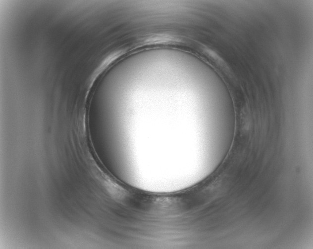 X0000066491322200603201247