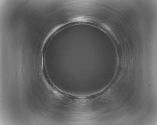 X0000066491323200603201247