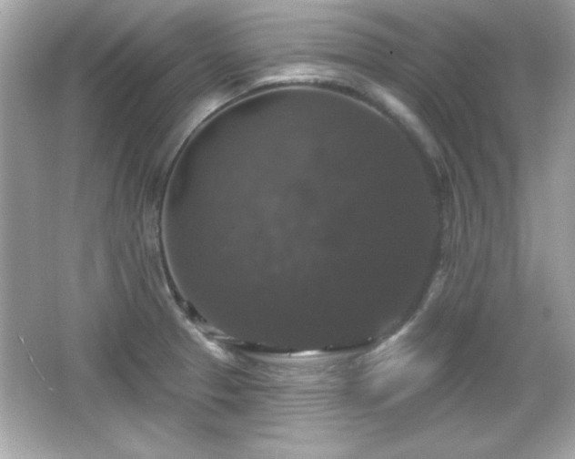 X0000066491329200603201247