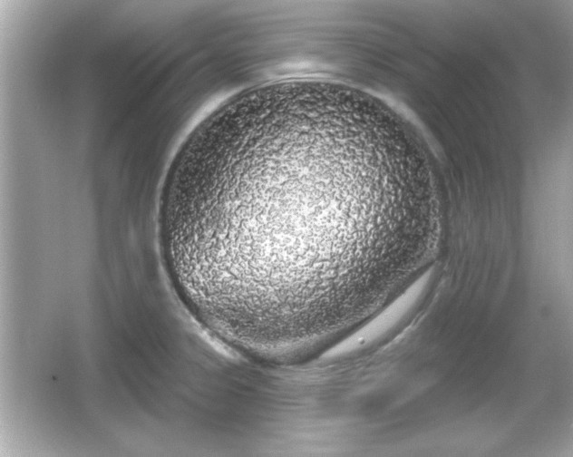 X0000066491333200603201247