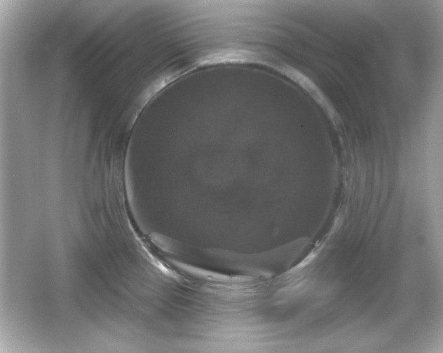 X0000066491337200603201247