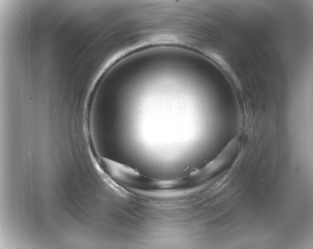 X0000066491342200603201247
