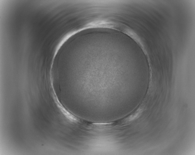 X0000066491344200603201247