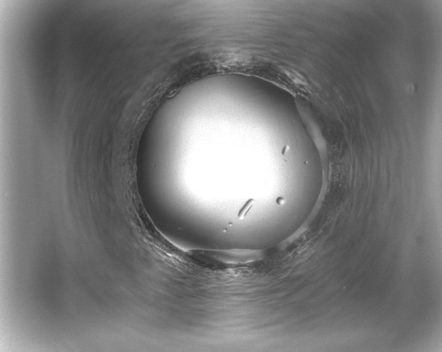 X0000066491345200603201246
