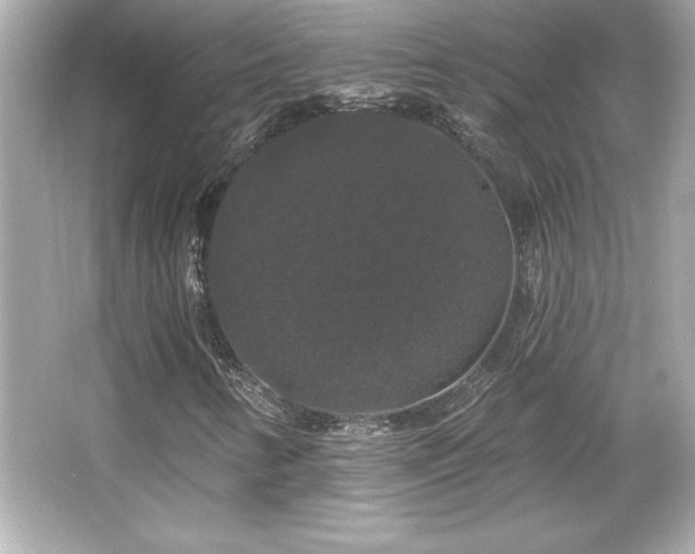 X0000066491346200603201246