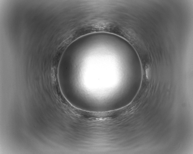 X0000066491347200603201246