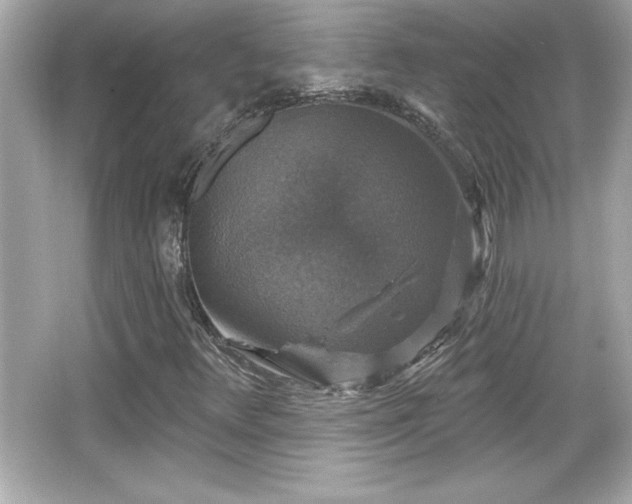 X0000066491348200603201246