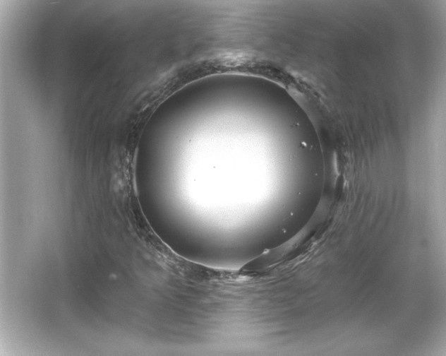 X0000066491349200603201246